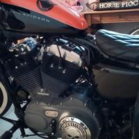 Harley-Davidson Nightster - 2009