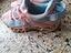 Immagine 3