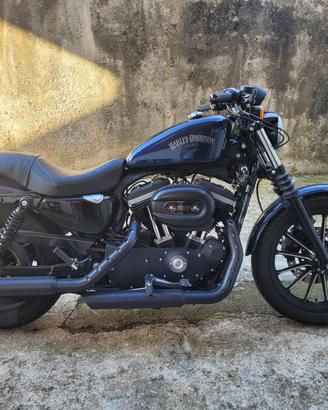 Harley Davidson Sportster 883 Iron