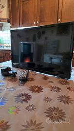 tv 24 pollici 12v/220v