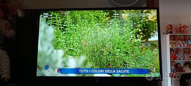Televisore 32" LED AKAI (Modello AKTV3219S)