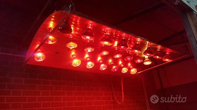 Solarium per asciugatura animali