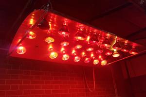 Solarium per asciugatura animali