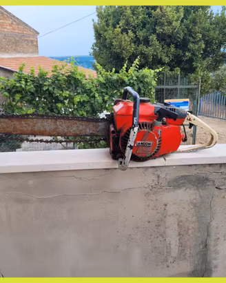 Motosega marca landoni