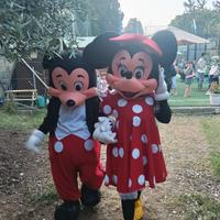 Mascotte Dianey Minnie Mickey Mouse professionali