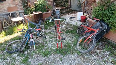lotto bici