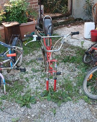 lotto bici