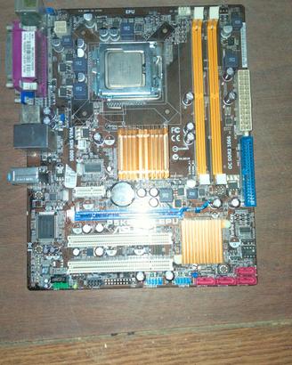 scheda madre + cpu