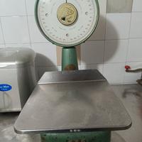 Bilancia professionale