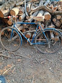Bicicletta da uomo Campionissima
