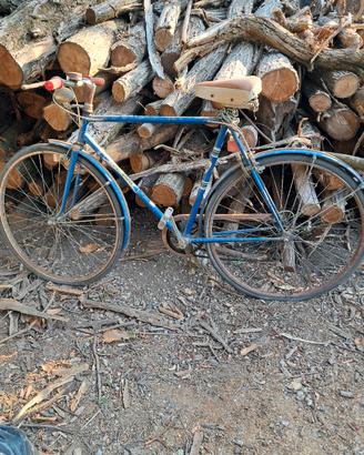 Bicicletta da uomo Campionissima