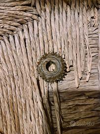 pignone 27 denti
