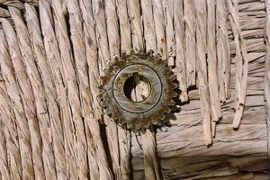 pignone 27 denti