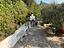 Immagine 22