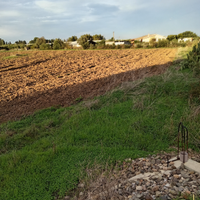 Terreno agricolo