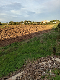 Terreno agricolo