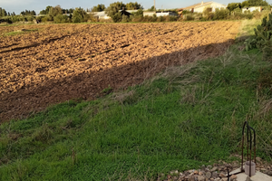Terreno agricolo