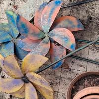 fiori