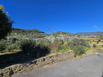 TER. AGRICOLO A TAGGIA