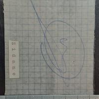 autografo Zinedine Zidane