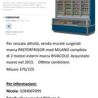 frigo surgelati attività commerciale