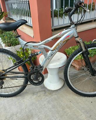 Mountain bike uomo 