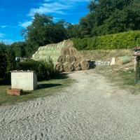 Fieno 1 taglio