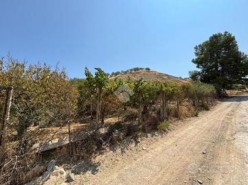 TER. AGRICOLO A CORIGLIANO-ROSSANO