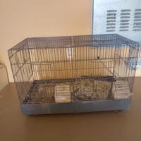 gabbia con nido per uccelli