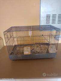 gabbia con nido per uccelli
