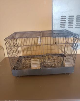 gabbia con nido per uccelli