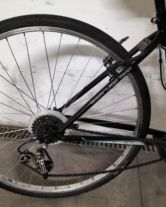 bici uomo