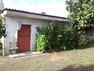 Terreno in agro di San Gavino Monreale