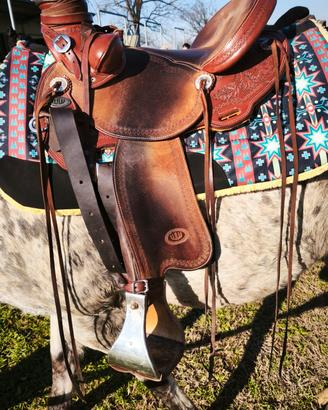 sella wade westwood lady