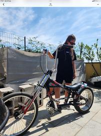 Schwinn  stingray occ