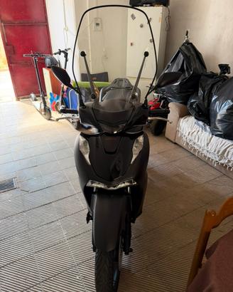 Sh 125 sport 2025