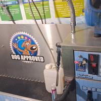 lavaggio self-service per cani
