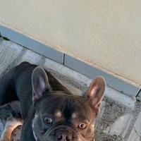 Per monta tel 353 313 8610