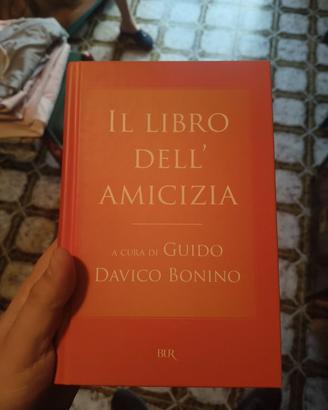 Il Libro dell'amicizia