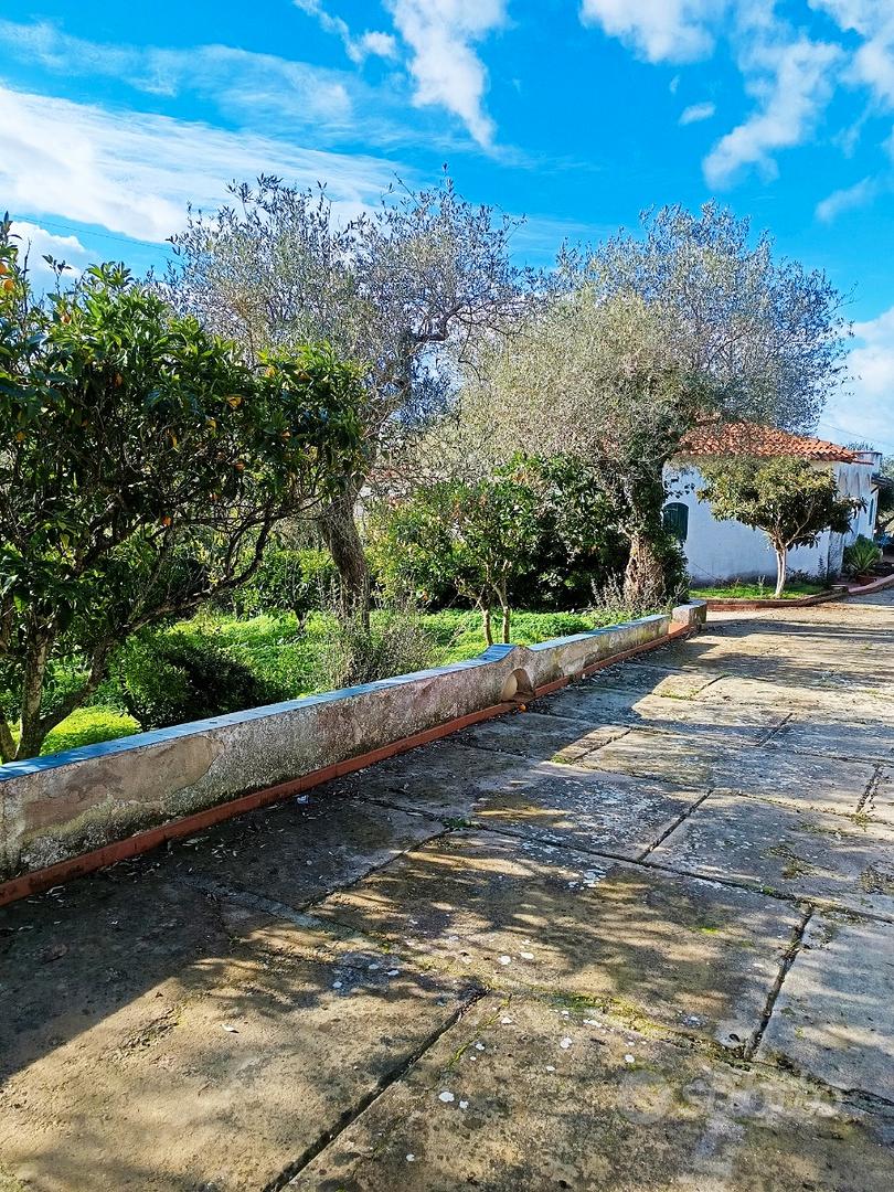 Casa – SS - Vista 4