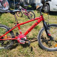 bicicletta bambino