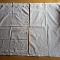 Coppia federe antiche