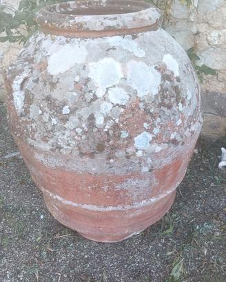 Orci antichi