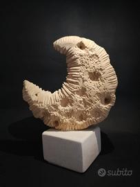  LUNA in pietra leccese 