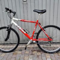 Bicicletta Uomo Usata COPPI FC35