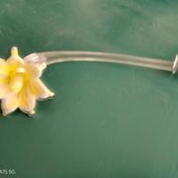 Ricambio lampadario in vetro Murano fiore giallo