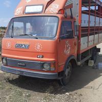 Camion iveco trasporto animali
