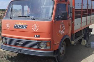 Camion iveco trasporto animali