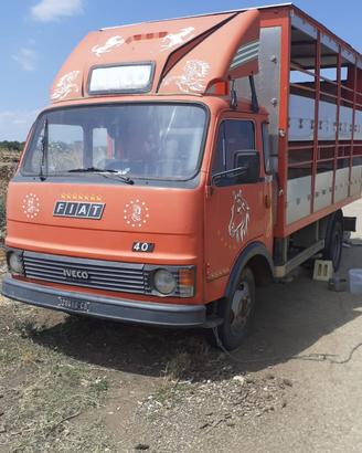 Camion iveco trasporto animali