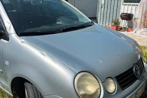  auto usata volkswagen